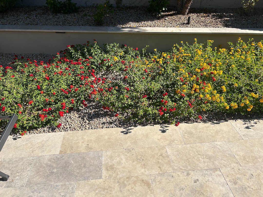 Monthly Maintenance in Phoenix Thumbnail