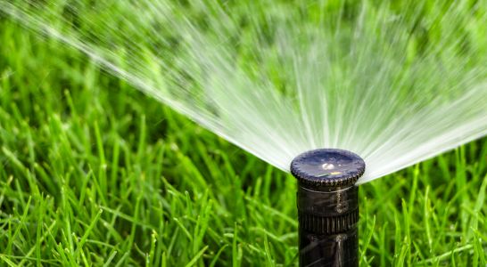 Spring Irrigation System Check: Prepare Your Phoenix Lawn for the Hot Months Thumbnail