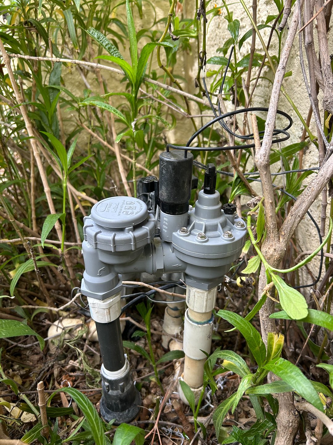 Leaking Anti-siphon Valve Repair in Scottsdale Thumbnail